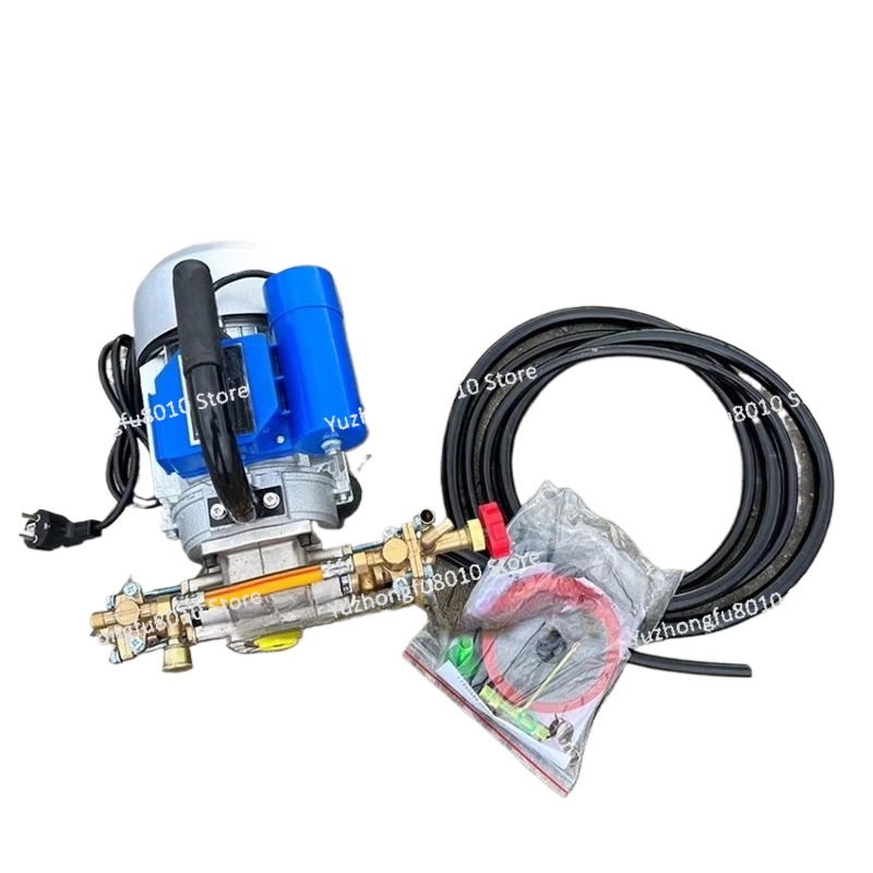 Electric Sprayer Backpack - Pulverizador Elétrico Portátil de 1100W 220V